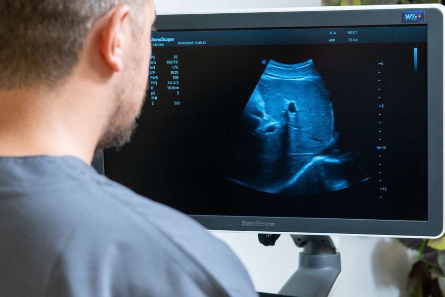 Un medico legge un&rsquo;ecografia